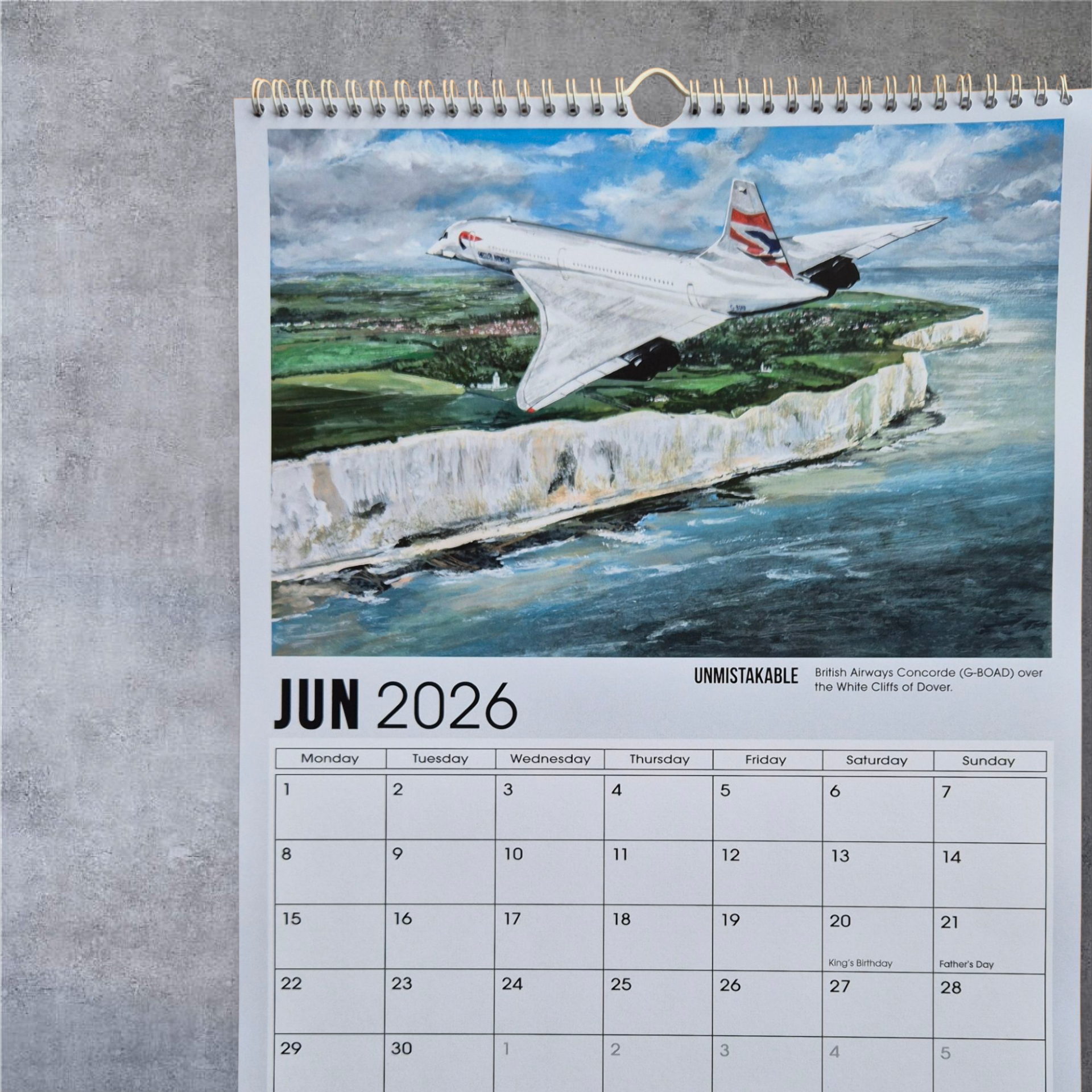 2026 - A3 Wall Hanging Calendar βFREE artist signing (upon request)β - Image 8