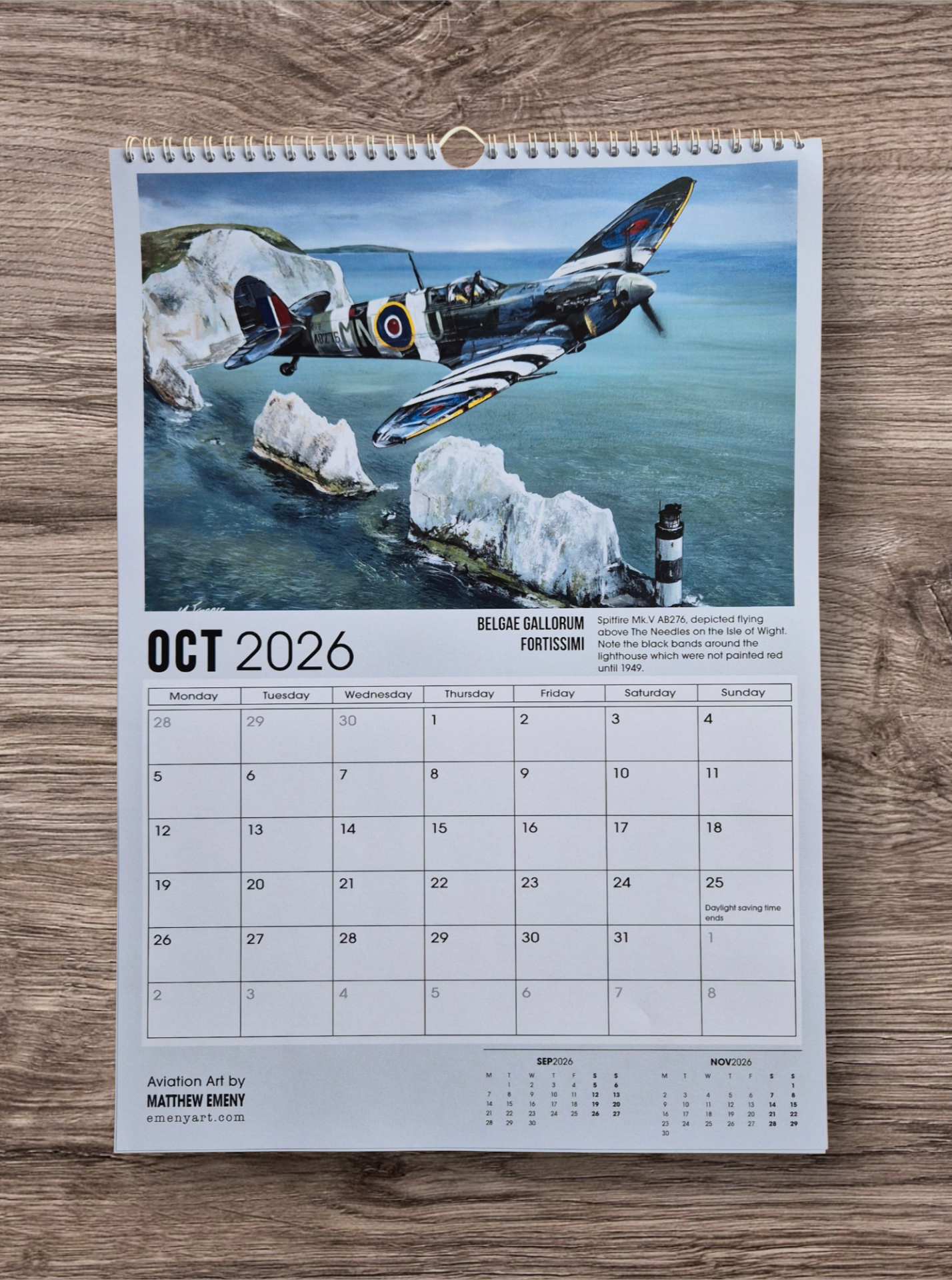 2026 - A3 Wall Hanging Calendar βFREE artist signing (upon request)β - Image 12